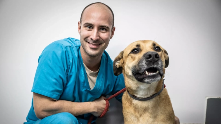 World Veterinary Day: What is it and how can you celebrate?